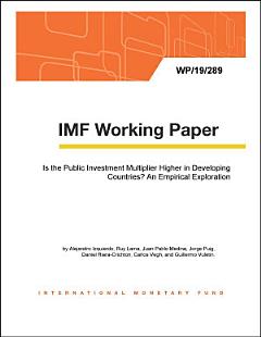 Is the Public Investment Multiplier Higher in Developing Countries? An Empirical Exploration