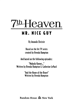 Mr. Nice Guy