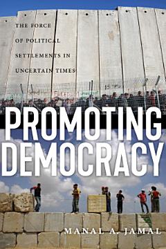 Promoting Democracy