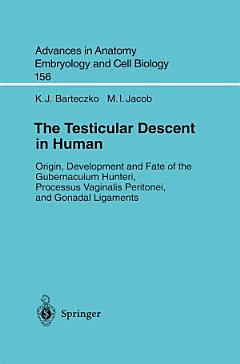 The Testicular Descent in Human