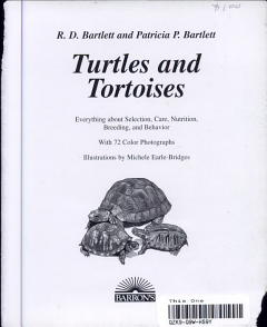 Turtles and Tortoises