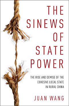 The Sinews of State Power