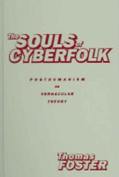 The Souls of Cyberfolk