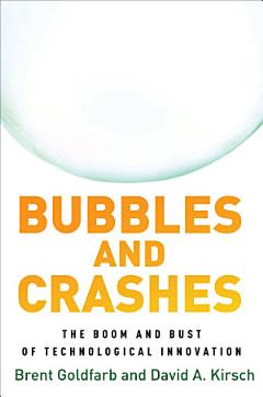 Bubbles and Crashes