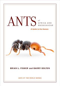 Ants of Africa and Madagascar