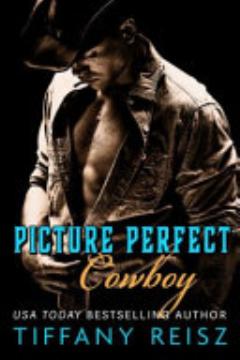 Picture Perfect Cowboy