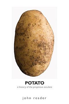 Potato