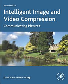 Intelligent Image and Video Compression