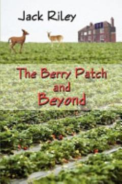 The Berry Patch and Beyond