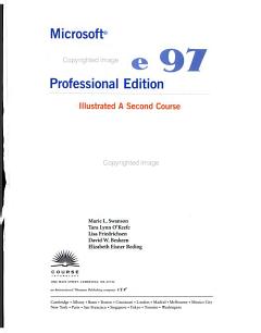 Microsoft Office 97, Professional Edition