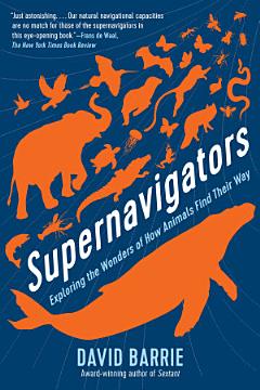 Supernavigators