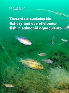 Towards a sustainable fishery and use of cleaner fish in salmonid aquaculture: Challenges and oportunities