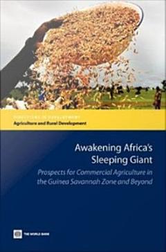 Awakening Africa\'s Sleeping Giant