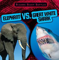 Elephant vs. Great White Shark