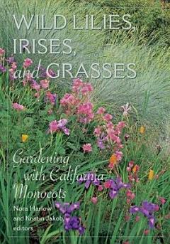 Wild Lilies, Irises, and Grasses