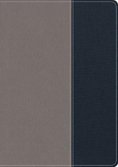 CSB Apologetics Study Bible for Students, Gray/Navy LeatherTouch