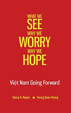 What we See, Why we Worry, Why we Hope: Vietnam Going Forward