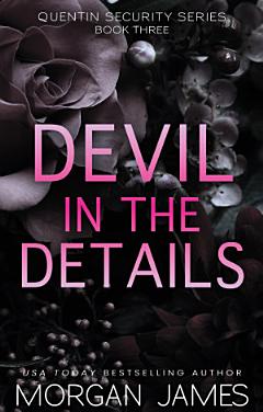 Devil in the Details (Quentin Security Bodyguard Romance #2)