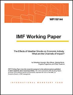 The Effects of Weather Shocks on Economic Activity: What are the Channels of Impact?