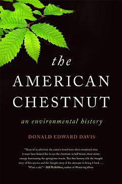 The American Chestnut