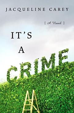 It\'s a Crime