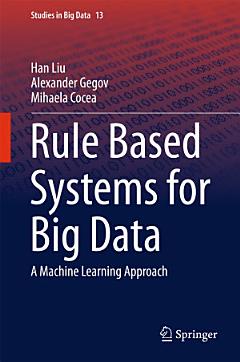 Rule Based Systems for Big Data