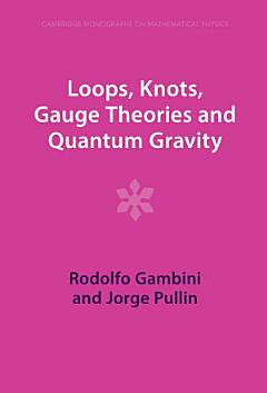 Loops, Knots, Gauge Theories