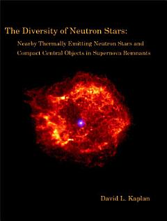 The Diversity of Neutron Stars