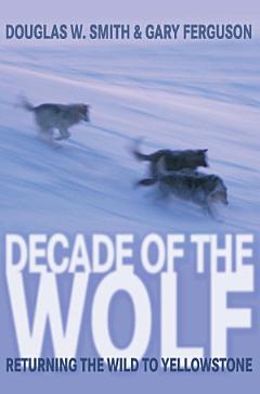 Decade of the Wolf