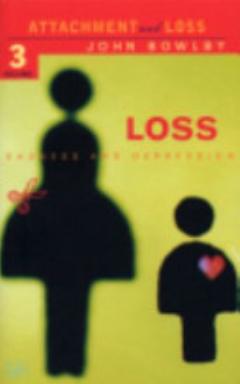 Loss - Sadness and Depression