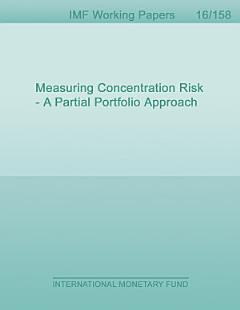 Measuring Concentration Risk - A Partial Portfolio Approach