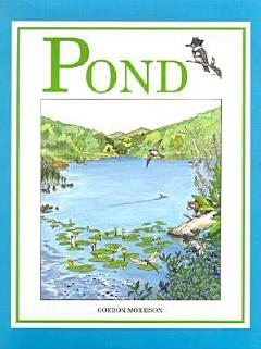 Pond