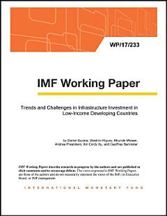 Trends and Challenges in Infrastructure Investment in Low-Income Developing Countries