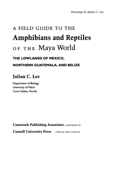 A Field Guide to the Amphibians and Reptiles of the Maya World