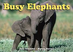 Busy Elephants