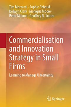 Commercialisation and Innovation Strategy in Small Firms