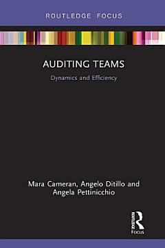 Auditing Teams