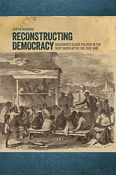 Reconstructing Democracy