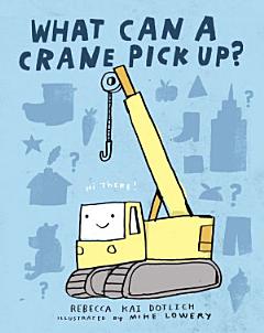 What Can a Crane Pick Up?