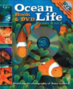 Ocean Life from A to Z