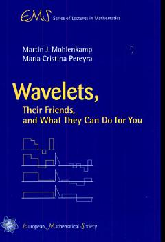 Wavelets, Their Friends, and what They Can Do for You