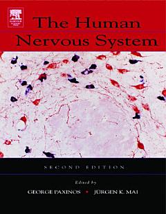 The Human Nervous System