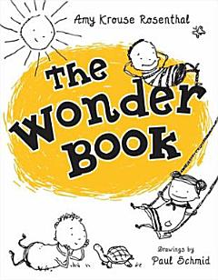 The Wonder Book