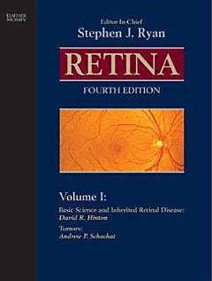 Retina