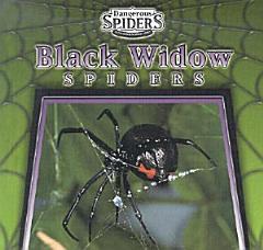 Black Widow Spiders