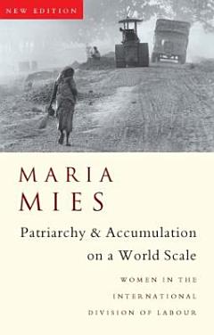 Patriarchy and Accumulation On A World Scale