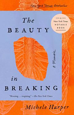 The Beauty in Breaking