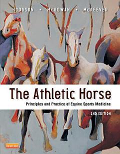 The Athletic Horse