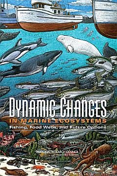 Dynamic Changes in Marine Ecosystems