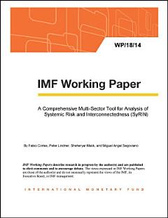 A Comprehensive Multi-Sector Tool for Analysis of Systemic Risk and Interconnectedness (SyRIN)